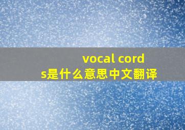 vocal cords是什么意思中文翻译